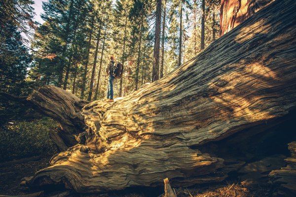 Comment explorer les grottes sacrées au Belize : respect et sécurité ?