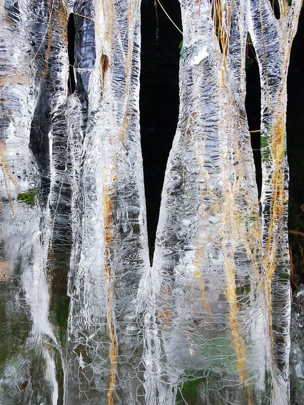Croisières dans les fjords norvégiens en hiver : Paysages enneigés et aurores boréales