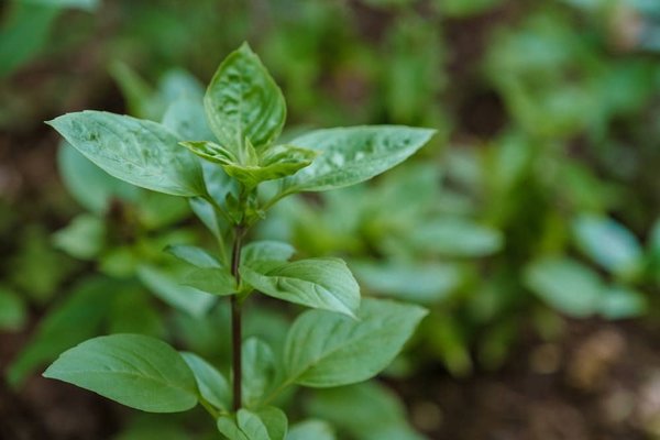 Comment traiter les eaux usées de manière écologique en camping ?