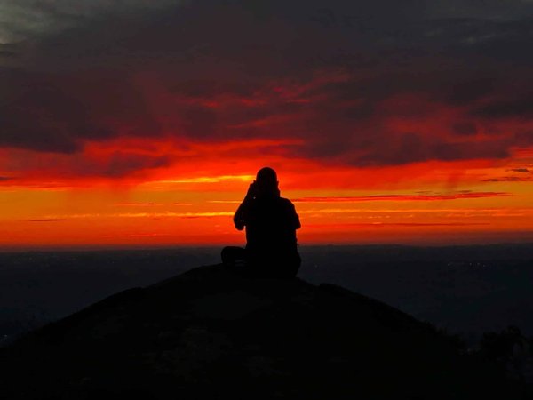 Peut-on trouver des croisières qui intègrent des expériences de plongée ou de snorkeling avec des biologistes marins ?